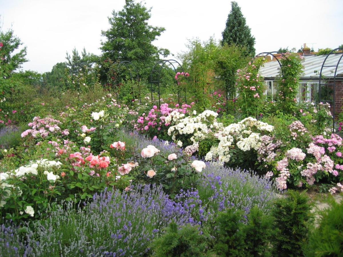 Mount Ephraim B&B Hernhill Екстериор снимка